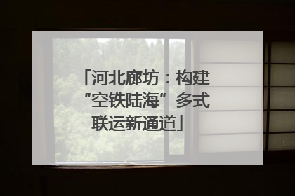 河北廊坊：构建“空铁陆海”多式联运新通道