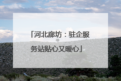 河北廊坊：驻企服务站贴心又暖心