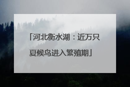 河北衡水湖：近万只夏候鸟进入繁殖期