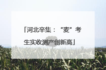 河北辛集：“麦”考生实收测产创新高