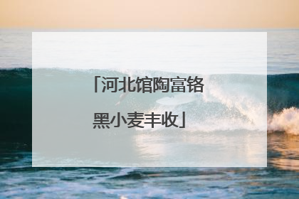 河北馆陶富铬黑小麦丰收