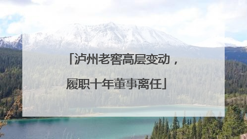 泸州老窖高层变动，履职十年董事离任