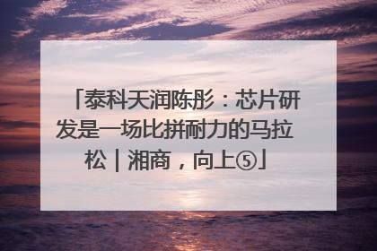 泰科天润陈彤：芯片研发是一场比拼耐力的马拉松｜湘商，向上⑤
