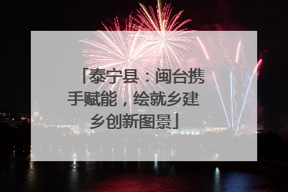 泰宁县：闽台携手赋能，绘就乡建乡创新图景