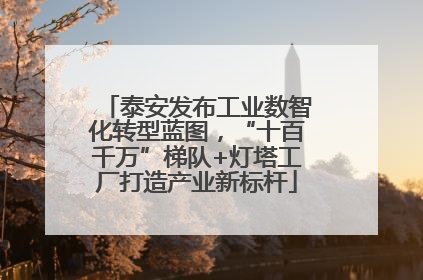 泰安发布工业数智化转型蓝图，“十百千万”梯队+灯塔工厂打造产业新标杆