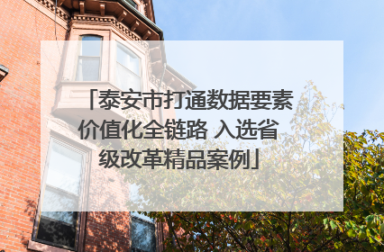 泰安市打通数据要素价值化全链路 入选省级改革精品案例