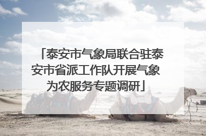 泰安市气象局联合驻泰安市省派工作队开展气象为农服务专题调研