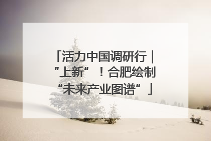 活力中国调研行｜“上新”！合肥绘制“未来产业图谱”