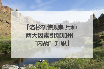 洛杉矶惊现新兵种 两大因素引爆加州“内战”升级