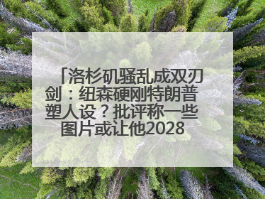 洛杉矶骚乱成双刃剑：纽森硬刚特朗普塑人设？批评称一些图片或让他2028总统梦碎