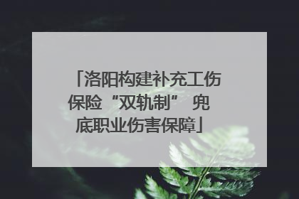洛阳构建补充工伤保险“双轨制” 兜底职业伤害保障