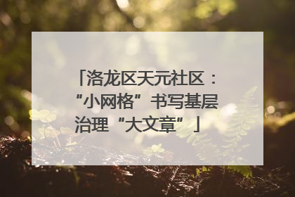 洛龙区天元社区：“小网格”书写基层治理“大文章”