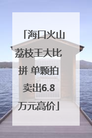 海口火山荔枝王大比拼 单颗拍卖出6.8万元高价