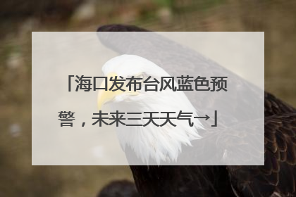 海口发布台风蓝色预警，未来三天天气→