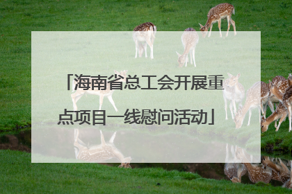 海南省总工会开展重点项目一线慰问活动