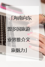 海南向东盟多国旅游业界推介文旅魅力