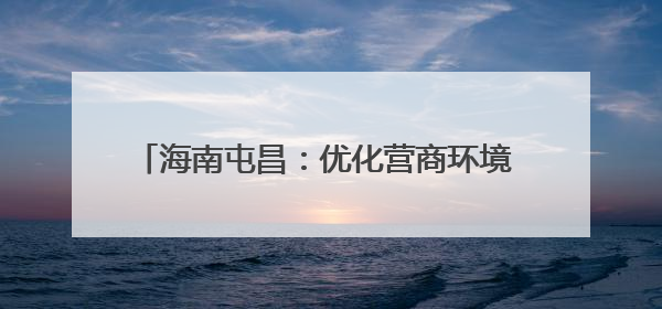海南屯昌：优化营商环境 促进一二三产业融合发展