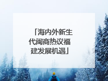 海内外新生代闽商热议福建发展机遇