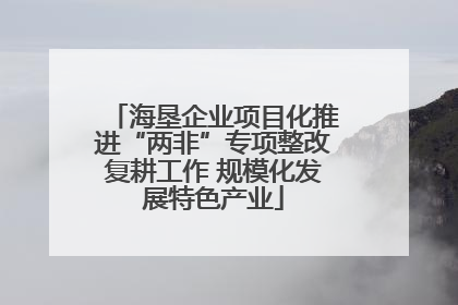 海垦企业项目化推进“两非”专项整改复耕工作 规模化发展特色产业