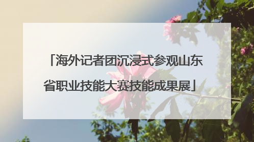 海外记者团沉浸式参观山东省职业技能大赛技能成果展