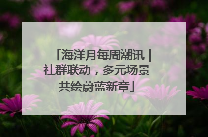 海洋月每周潮讯｜社群联动，多元场景共绘蔚蓝新章