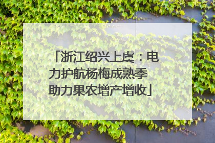 浙江绍兴上虞：电力护航杨梅成熟季 助力果农增产增收