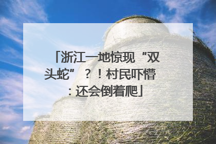 浙江一地惊现“双头蛇”？！村民吓懵：还会倒着爬