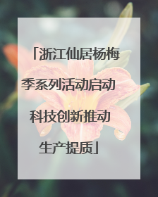 浙江仙居杨梅季系列活动启动 科技创新推动生产提质