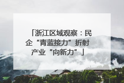 浙江区域观察：民企“青蓝接力”折射产业“向新力”