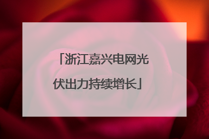 浙江嘉兴电网光伏出力持续增长