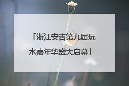 浙江安吉第九届玩水嘉年华盛大启幕