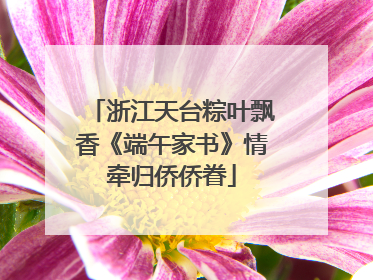 浙江天台粽叶飘香《端午家书》情牵归侨侨眷