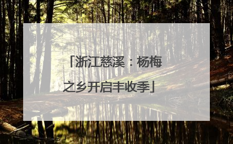 浙江慈溪：杨梅之乡开启丰收季
