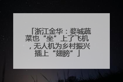 浙江金华：婺城蔬菜也“坐”上了飞机，无人机为乡村振兴插上“翅膀”