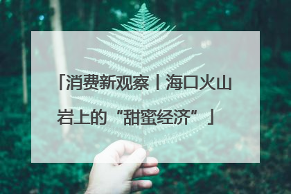 消费新观察丨海口火山岩上的“甜蜜经济”
