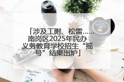 涉及工附、松雷……南岗区2025年民办义务教育学校招生“摇号”结果出炉