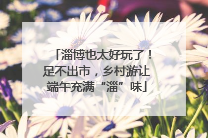 淄博也太好玩了！足不出市，乡村游让端午充满“淄”味