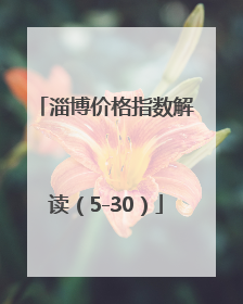 淄博价格指数解读（5-30）
