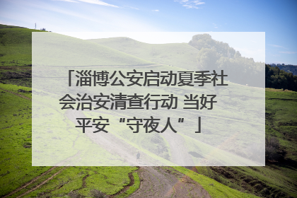 淄博公安启动夏季社会治安清查行动 当好平安“守夜人”
