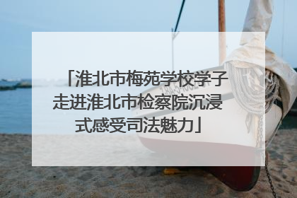 淮北市梅苑学校学子走进淮北市检察院沉浸式感受司法魅力