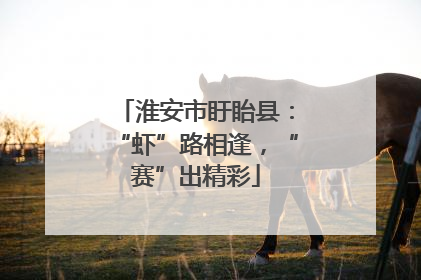 淮安市盱眙县：“虾”路相逢，“赛”出精彩