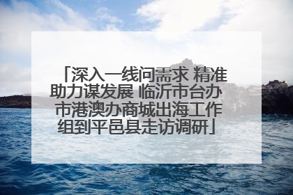深入一线问需求 精准助力谋发展 临沂市台办 市港澳办商城出海工作组到平邑县走访调研