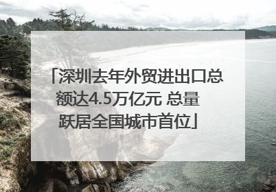 深圳去年外贸进出口总额达4.5万亿元 总量跃居全国城市首位