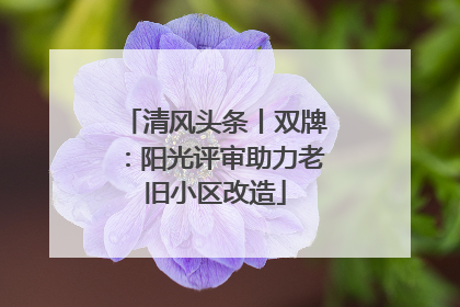 清风头条丨双牌：阳光评审助力老旧小区改造