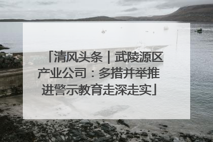 清风头条｜武陵源区产业公司：多措并举推进警示教育走深走实