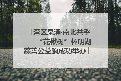 湾区泉涌·南北共擎——“花楸树”杯明湖慈善公益跑成功举办