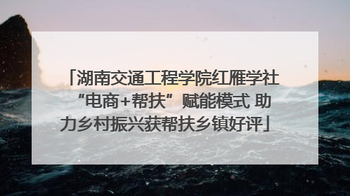 湖南交通工程学院红雁学社“电商+帮扶”赋能模式 助力乡村振兴获帮扶乡镇好评