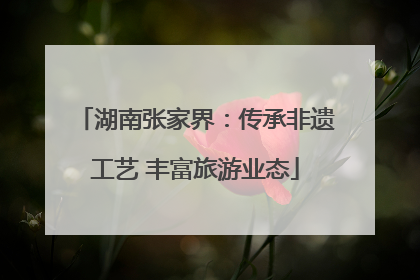 湖南张家界：传承非遗工艺 丰富旅游业态