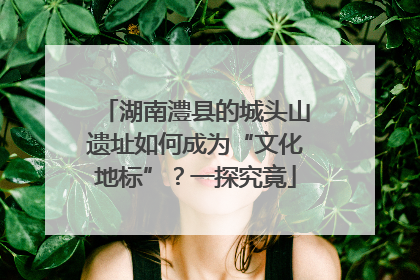 湖南澧县的城头山遗址如何成为“文化地标”？一探究竟