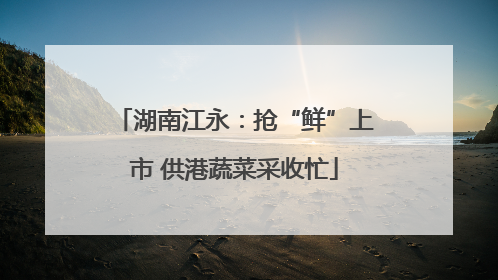 湖南江永：抢“鲜”上市 供港蔬菜采收忙